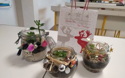 Club Nature – Vente de terrariums